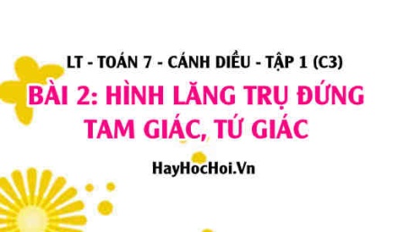 Công thức tính diện tích xung quanh và thể tích của hình lăng trụ đứng tam giác, tứ giác? Toán 7 bài 2 cd1c3